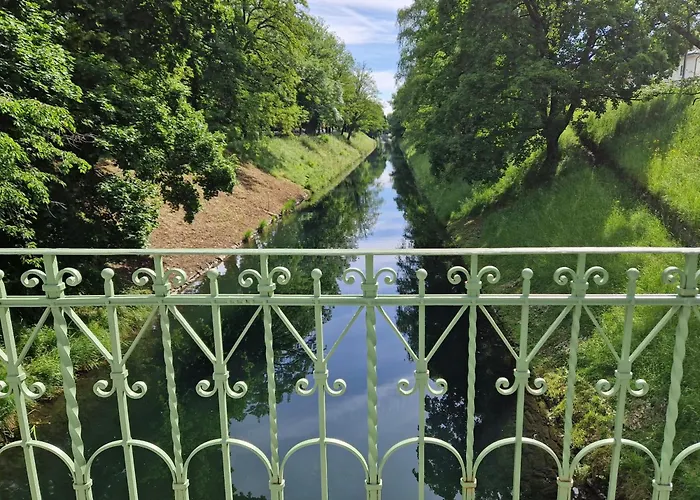 Urban Oasis
