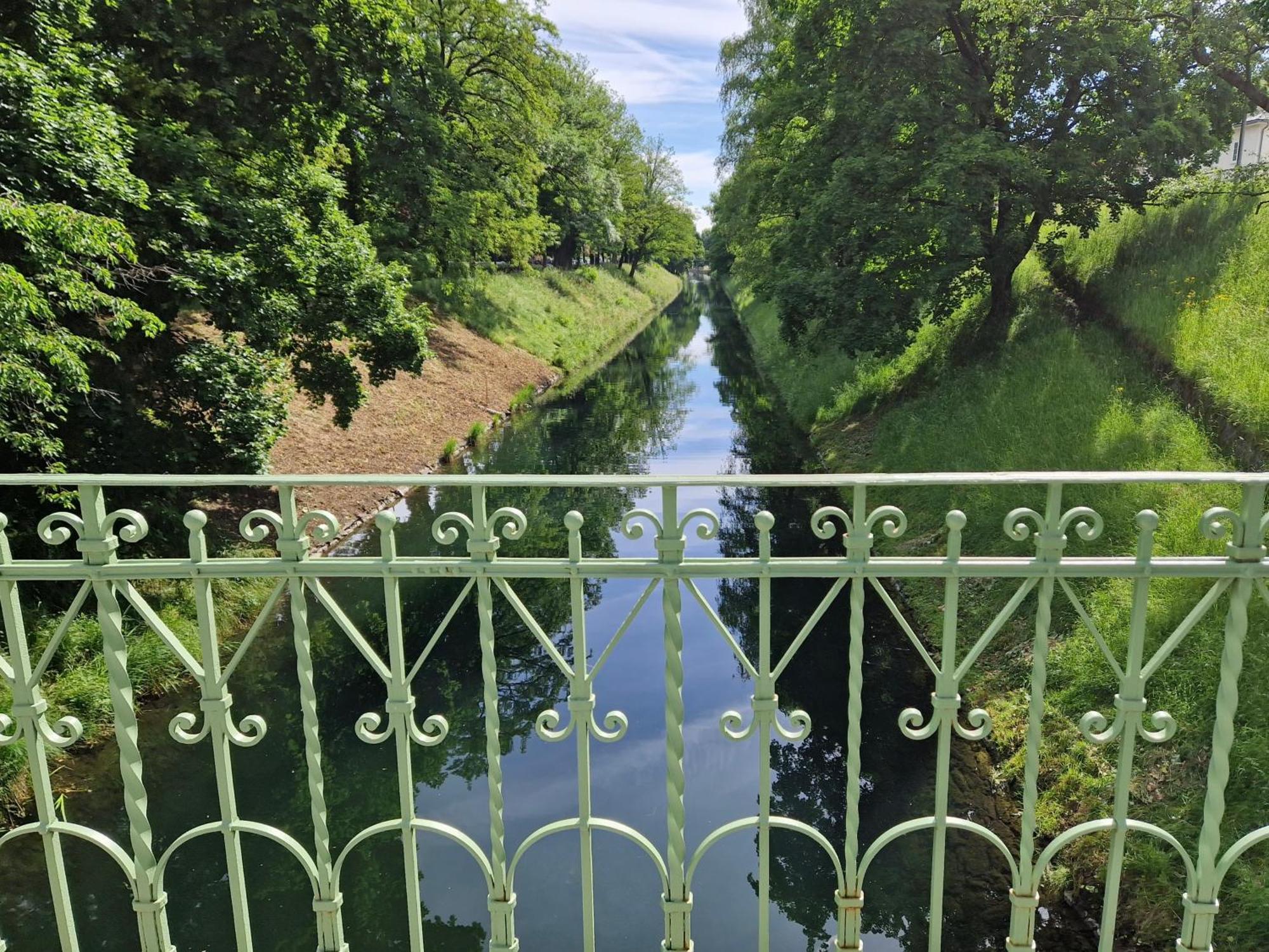 Urban Oasis